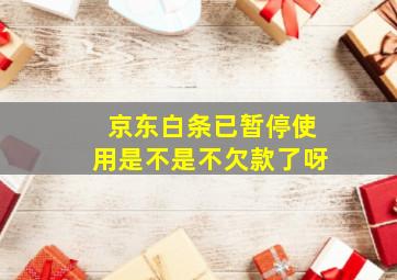 京东白条已暂停使用是不是不欠款了呀