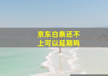 京东白条还不上可以延期吗