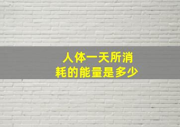 人体一天所消耗的能量是多少