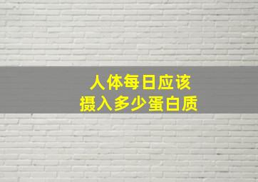 人体每日应该摄入多少蛋白质