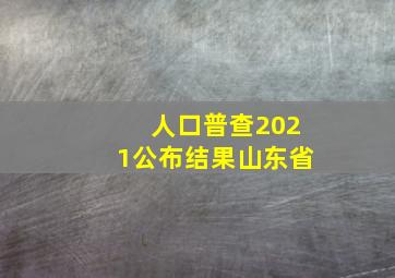 人口普查2021公布结果山东省