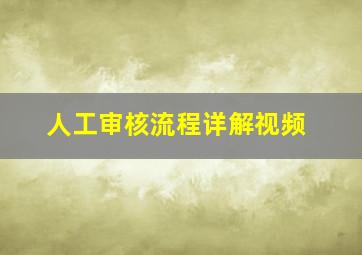 人工审核流程详解视频