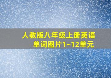 人教版八年级上册英语单词图片1~12单元