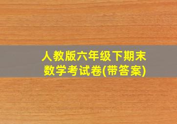 人教版六年级下期末数学考试卷(带答案)