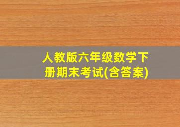 人教版六年级数学下册期末考试(含答案)