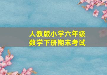 人教版小学六年级数学下册期末考试