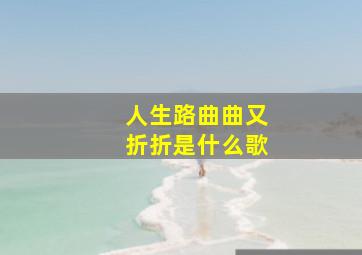 人生路曲曲又折折是什么歌