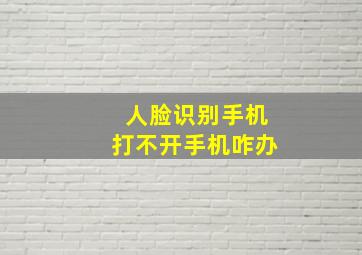 人脸识别手机打不开手机咋办