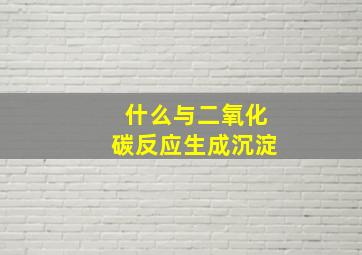 什么与二氧化碳反应生成沉淀