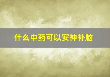 什么中药可以安神补脑