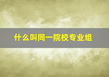 什么叫同一院校专业组