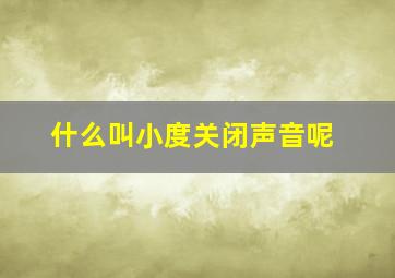 什么叫小度关闭声音呢