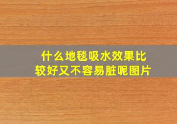 什么地毯吸水效果比较好又不容易脏呢图片