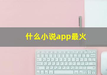 什么小说app最火