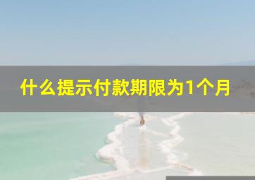 什么提示付款期限为1个月