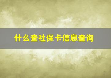 什么查社保卡信息查询