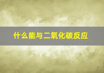 什么能与二氧化碳反应