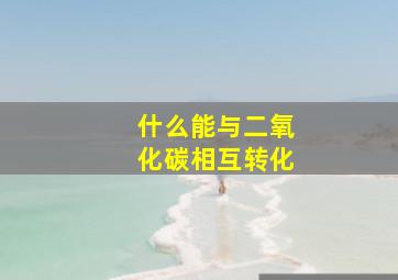 什么能与二氧化碳相互转化