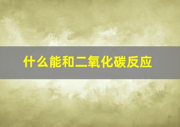 什么能和二氧化碳反应