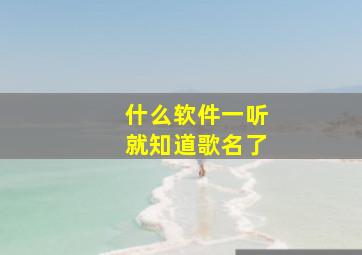 什么软件一听就知道歌名了