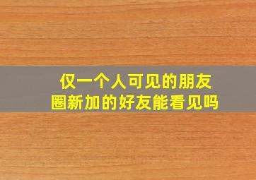 仅一个人可见的朋友圈新加的好友能看见吗