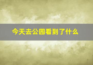 今天去公园看到了什么