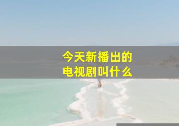 今天新播出的电视剧叫什么