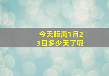 今天距离1月23日多少天了呢