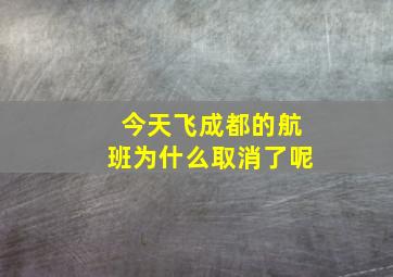 今天飞成都的航班为什么取消了呢