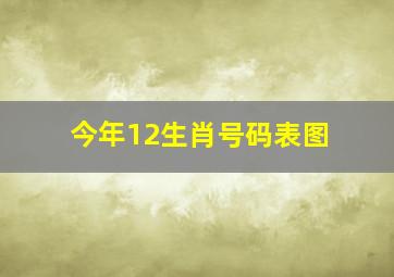 今年12生肖号码表图