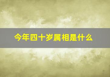 今年四十岁属相是什么