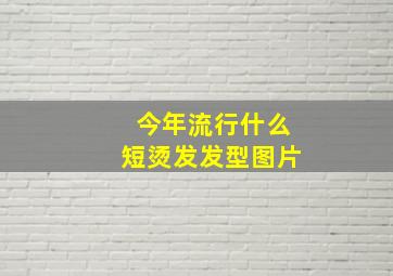 今年流行什么短烫发发型图片