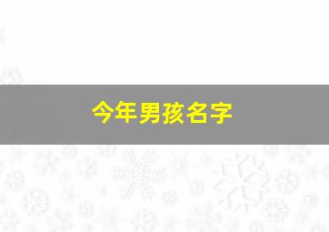 今年男孩名字