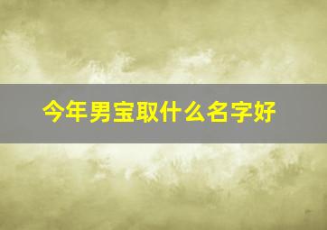 今年男宝取什么名字好