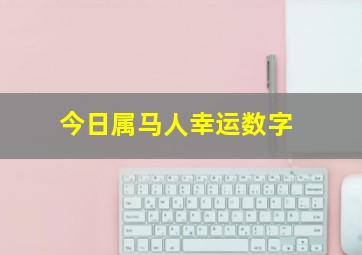 今日属马人幸运数字