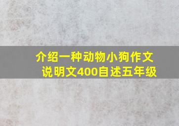 介绍一种动物小狗作文说明文400自述五年级