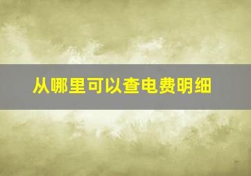 从哪里可以查电费明细