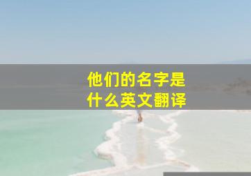 他们的名字是什么英文翻译