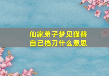 仙家弟子梦见猫替自己挡刀什么意思