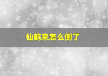 仙鹤来怎么倒了