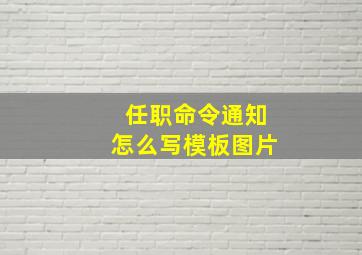 任职命令通知怎么写模板图片