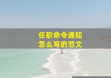 任职命令通知怎么写的范文