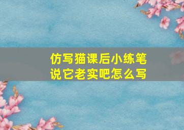 仿写猫课后小练笔说它老实吧怎么写