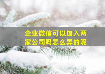 企业微信可以加入两家公司吗怎么弄的呢