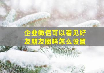 企业微信可以看见好友朋友圈吗怎么设置