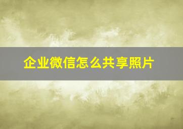 企业微信怎么共享照片