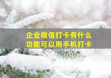 企业微信打卡有什么功能可以用手机打卡