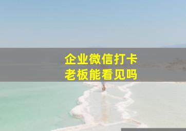 企业微信打卡老板能看见吗