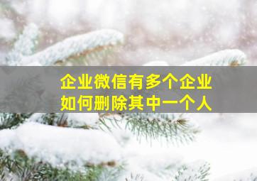 企业微信有多个企业如何删除其中一个人