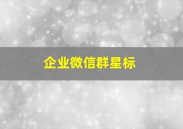 企业微信群星标